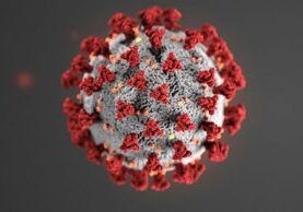 coronavirus-blog feature